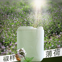 新疆伊犁69团薄荷纯露批发蒸馏花水 薄荷花叶提炼清凉清洁欧薄荷