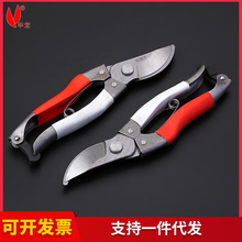 ��÷����֦��԰�ռ��� ����;˫ɫ������֦����֦��԰�ִ����ֻ�