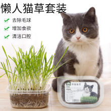 懒人猫草套装批发猫零食 营养土小麦种子盆栽去毛球宠物猫用品