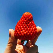 ����S���\���|�þò�ݮ�����|99ţ�̲�ݮ5�����r�Y��ˮ�����l