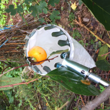 ժ�����ɲ�ժ��÷��������ˮ�������F�ۯB����uͨ���P䓹����֦