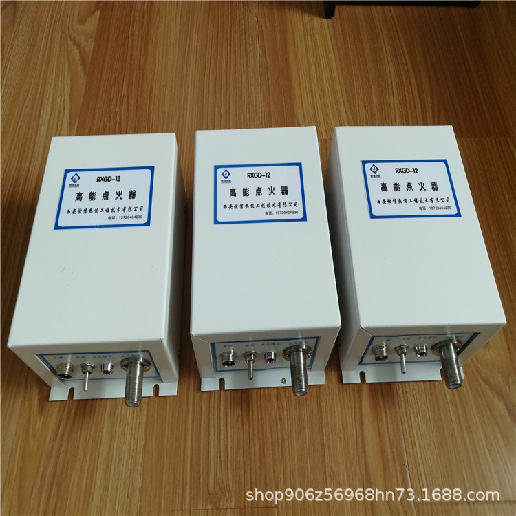 燃信热能非标 燃烧器点火装置 沼气锅炉高能点火器
