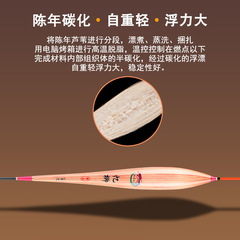 憶柳帶殼蘆葦浮漂加固硬殼蘆葦浮漂細尾輕口高靈敏競技 蘆葦魚漂