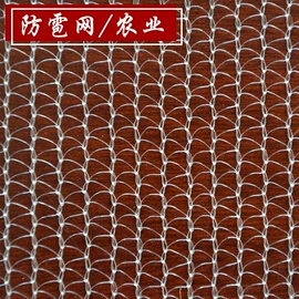遮阳网;其他塑料网;天幕