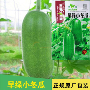 С���ϷN��С������С�����ļ��N���ϷN���߲˷N�����l�˷N����