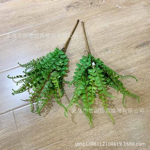 PβާֲğᎧbާݲ˹ާƵe^bϲ