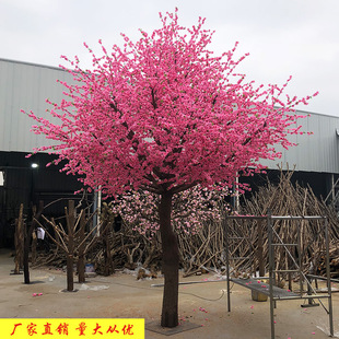 �S�ҹ������ͷ����һ����̈������b����Ҙ��S������һ���