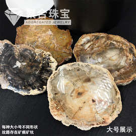 天然木化玉原石切片5-16cm标本石树化玉茶杯垫家居复古装饰摆件