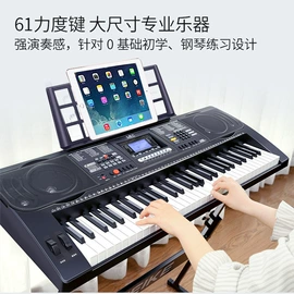 乐器配件;键盘类乐器;弹拨类乐器