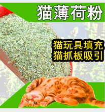 批发美国猫薄荷粉猫草粉棒棒糖原料薄荷粉猫抓板填充物猫薄荷玩具