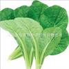 The company wholesale four seasons of vegetables and flower seeds more than 200 products supply chain of vegetables and flowers seeds