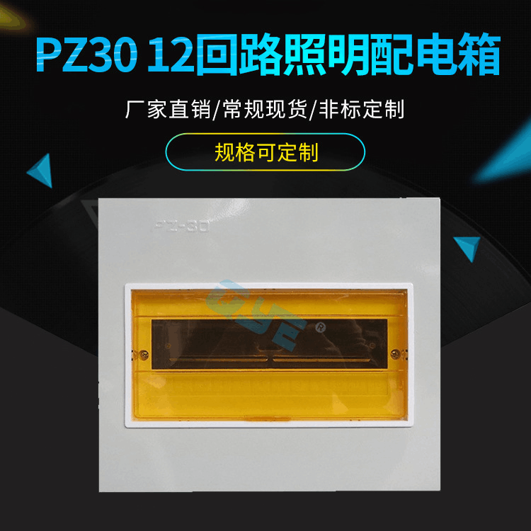 PZ30光I纤入户照明配电箱 12回路照明配电箱 豪华暗装室内照明箱