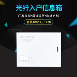 弱电箱400*300*120多媒体信息箱 光纤入户信息箱 弱电箱控制箱