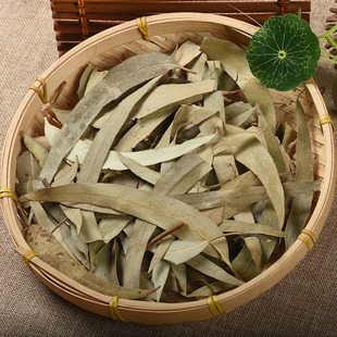 中药材批发广西桉树叶新货桉叶散装中草药 产地货源 一件代发-阿里巴巴