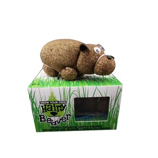 ����������Ķ��5Ԫ�aƷ���^������ݷNֲ��������L���^ֲ��