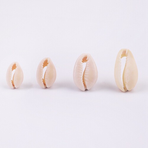 Natural shell pendant scallop handmade pendant earrings diy material package earrings ear jewelry accessories 20 pieces