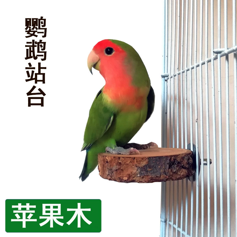 Трансграничные прямые поставки яблочное дерево платформа для попугая подставка для попугая из цельного дерева игрушка для попугая птица качели принадлежности для попугая