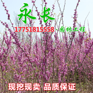 ����ֱ�����G����G����ľ��ζ�����҃������^�pҎ���Rȫ���G����