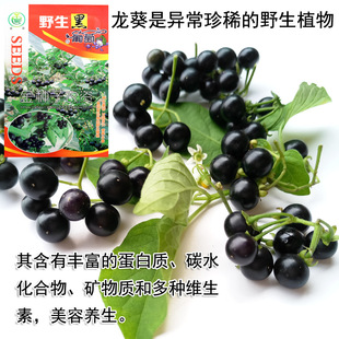 �����N�������N��ˮ���N���߲˷N�����l�˷N���ѷN�ӹ�˾