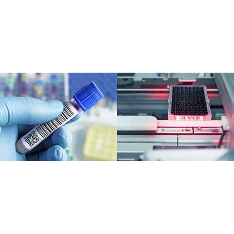 CABϣ��������AXON2ҽ�ƻ�ѧ��������Ʒ�����Զ����Թ������