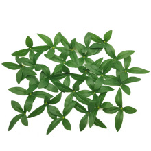 ����ʮ��С�~��ʯ���~���N�~�z�W������~������G�~�b��Ĕz����