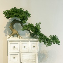 �ɘ����Ը߷����ɘ��_�h�����Դ����҃ȑ���[�O�ҾӾƵ�͏d�̈�