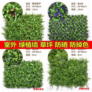 ����ֲ���ƺ���¾Gֲ���������Ƥ���������b�ӭ�e�����滨