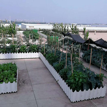 屋顶种植土轻质营养土蔬菜瓜果种植土栽培基质老牌厂家直供品质高
