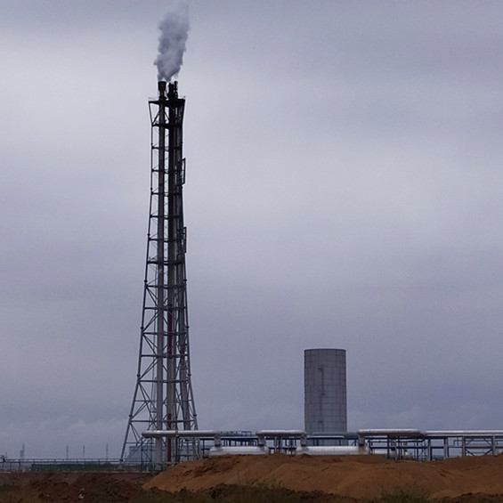 厂家直销沼气高架火炬 高架火炬维修改造维护工程工业废气