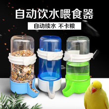 虎皮牡丹玄凤鹦鹉饮水器大号加厚自动喂食器鸟用品鸽子下料喝水杯