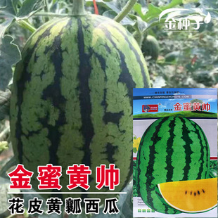 ��ϷN�������С���ϷN��ˮ���N���S�����ϷN�ӹϹ��߲˷N�����l
