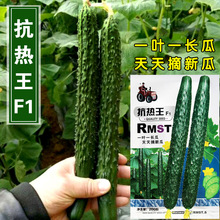 黄瓜种子黄瓜籽黄瓜种籽蔬菜种子批发菜种菜籽菜种子公司四季播种