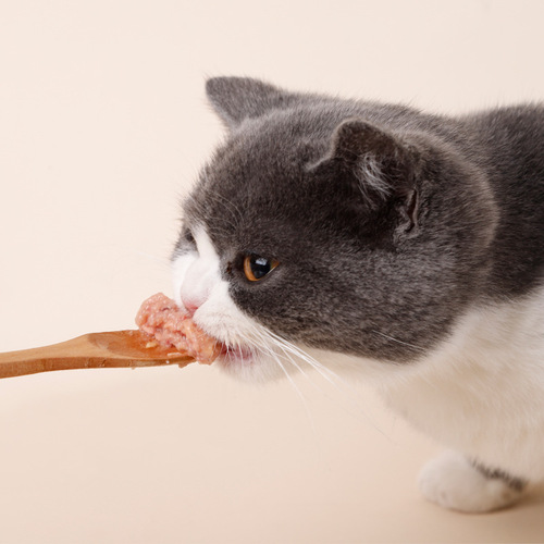 Cat Snacks Booker Nutritional Wet Food Pet Pudding Cat Bonito Cat Wet Food Cat Snack Supplies Wholesale