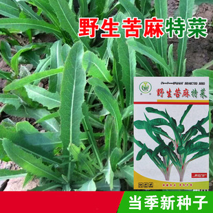 ����˷N������˷N�ӿ���˷N���߲˷N�Ӳ��ѹϹ��߲˷N�����l