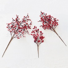 tlؔ滨tӶƷ{Сt bƷ