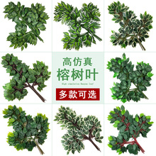 �����Ř��~�^�z���ϗ����ܘ�Gɫֲ���y�Ӽt���~�Ӽ٘�֦�b��쾰