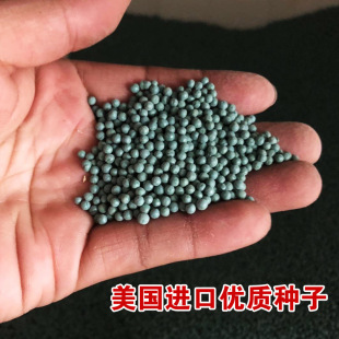 �R���N�ӻ��N�ӻ��ѻ��ܷN�ӻ��ܷN���~�X�ݷN�ӽ��X���߲˷N��