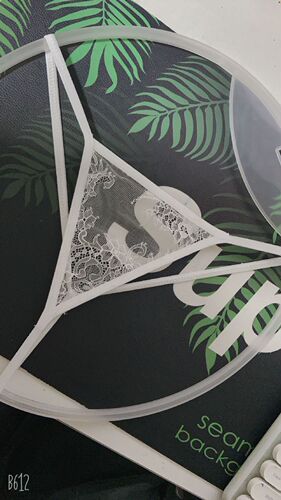 Sexy embroidered mesh women's thong T-pants transparent see-through young women's temptation underwear women's fashion hot