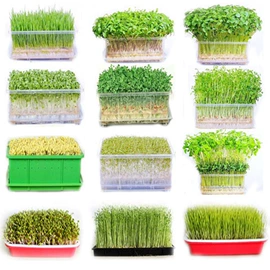 蔬菜种子;其他农业