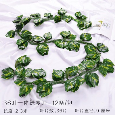 36 piezas de rábano verde Integrado 1 paquete (12 piezas)