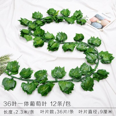 36 piezas de hojas de uva 1 paquete (12 piezas)