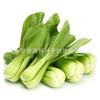 The company wholesale four seasons of vegetables and flower seeds more than 200 products supply chain of vegetables and flowers seeds