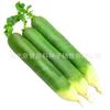 The company wholesale four seasons of vegetables and flower seeds more than 200 products supply chain of vegetables and flowers seeds