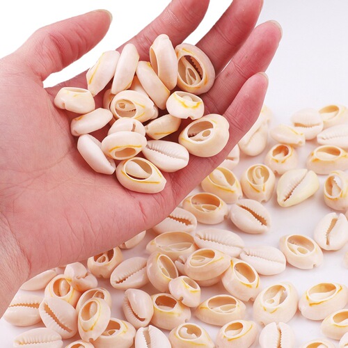 Natural shell pendant scallop handmade pendant earrings diy material package earrings ear jewelry accessories 20 pieces