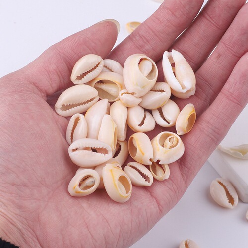 Natural shell pendant scallop handmade pendant earrings diy material package earrings ear jewelry accessories 20 pieces