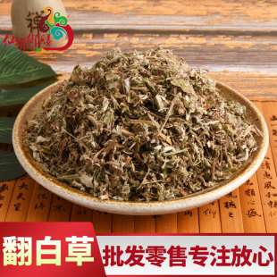 ���ײ� �oѬ����؛ ���ײ� ί��� ֧��ș�z ����ă� ��ĥ��