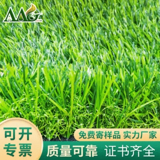 AAG Synthetic turf 奥健仿真人造草皮 园林绿化装饰人工草坪