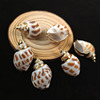 European and American beach wind earrings Leopard -head conch jewelry shell -shell ears gold conch jewelry