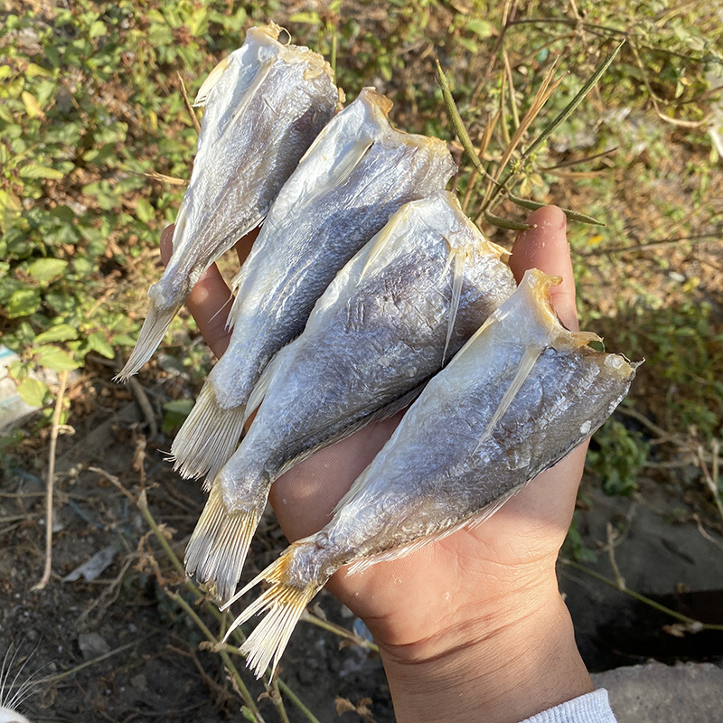【源メーカー】黄花魚乾燥海鮮特産水産干物海鮮小黄花魚卸売り優良品新商品