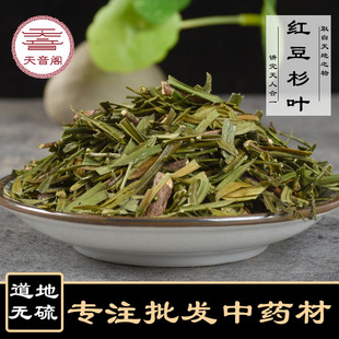 ��ș�����l���۟o��t��ɼ�~��؛�a��؛Դ�t��ɼ����ă�һ�����l